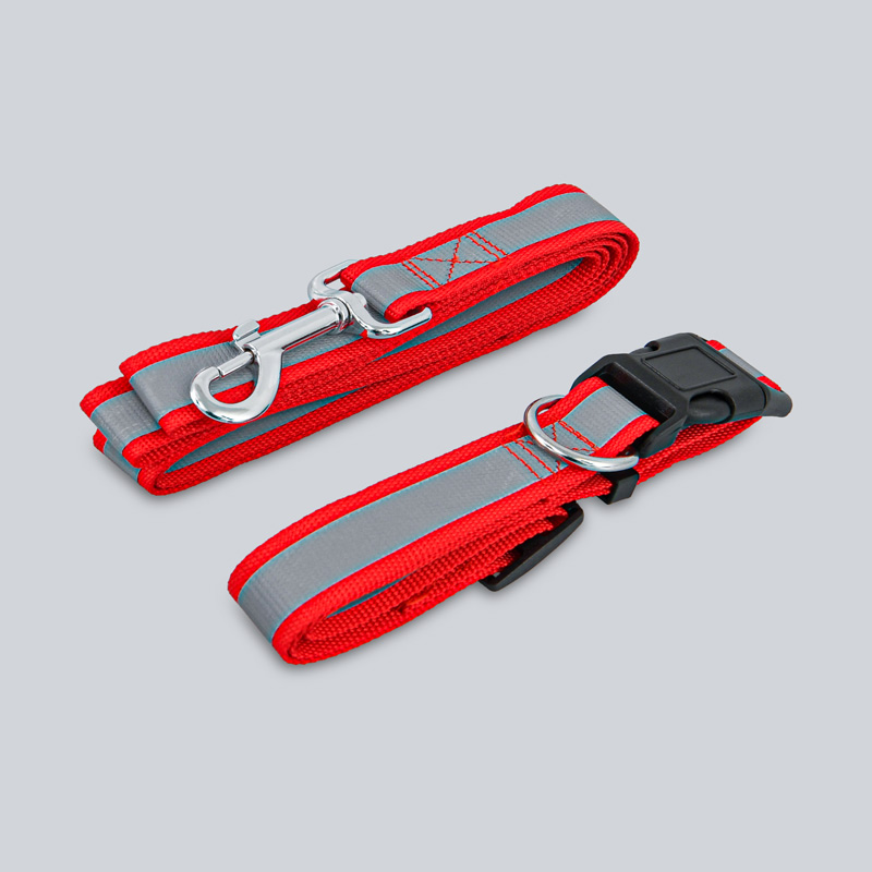 Collier et laisse pour chien