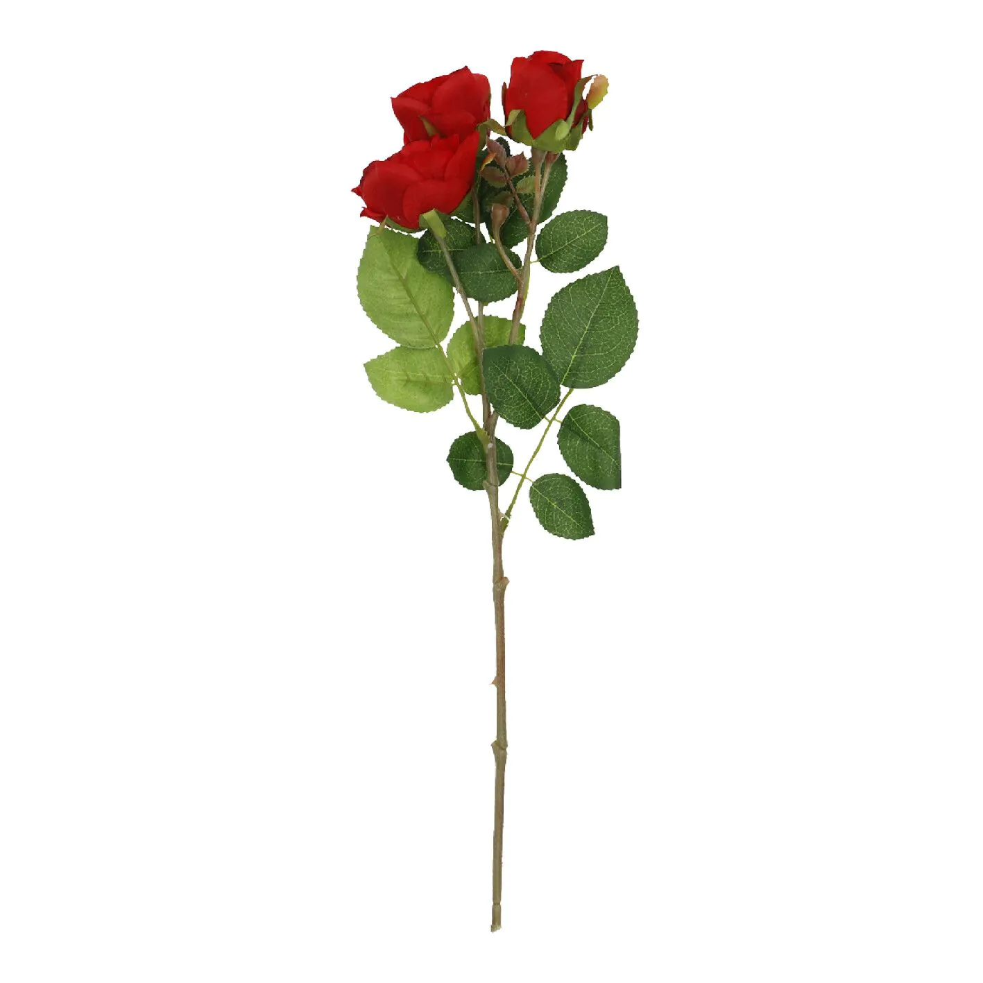 Rose Alina, 3 Blüten/rot, 38 cm
