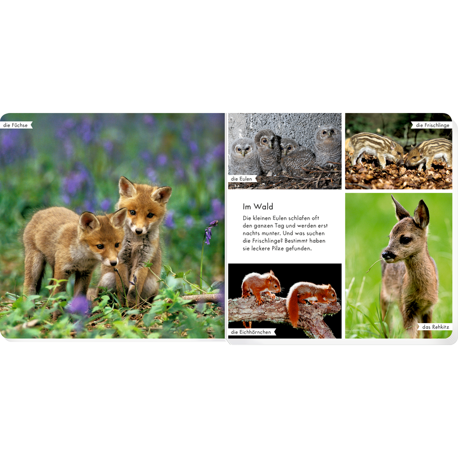 SPIEGELBURG COPPENRATH Meine liebsten Tierbabys