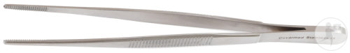 Pincette Anatomique En Inox 16cm Pièce 1