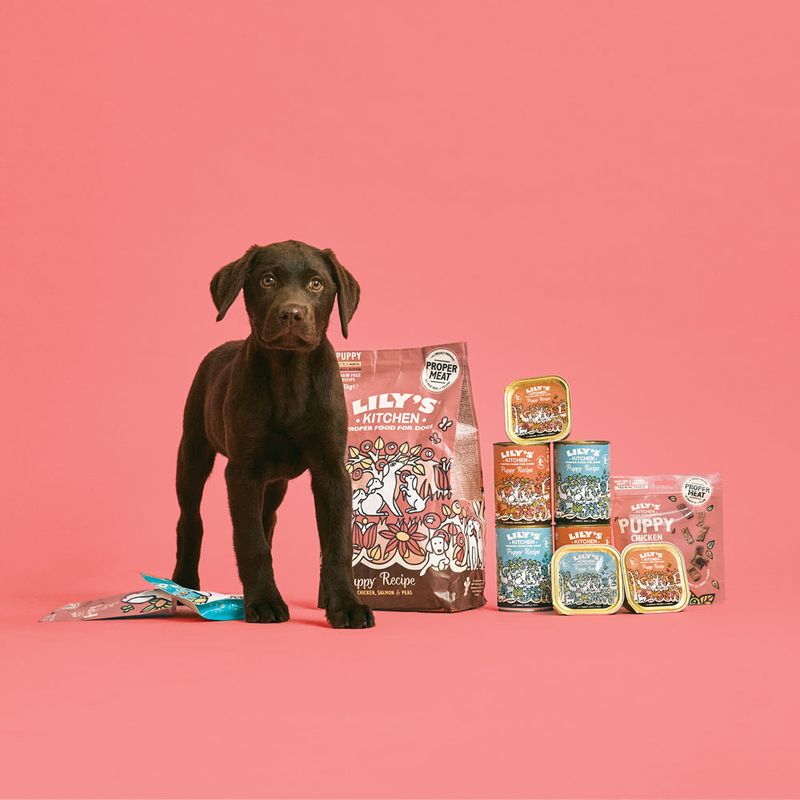 Lot Lily's Kitchen Puppy 12 x 400 g pour chiot
