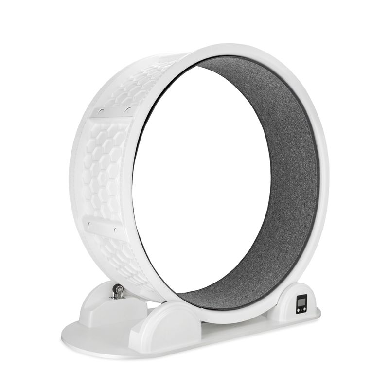 Roue d'exercice Modern Living Singapore