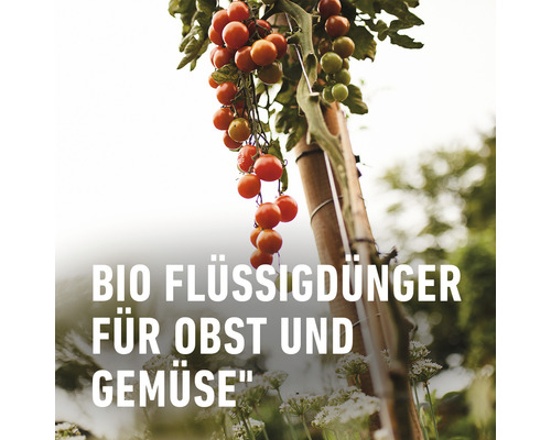 COMPO BIO 1 L vloeibare meststof voor fruit en groenten
