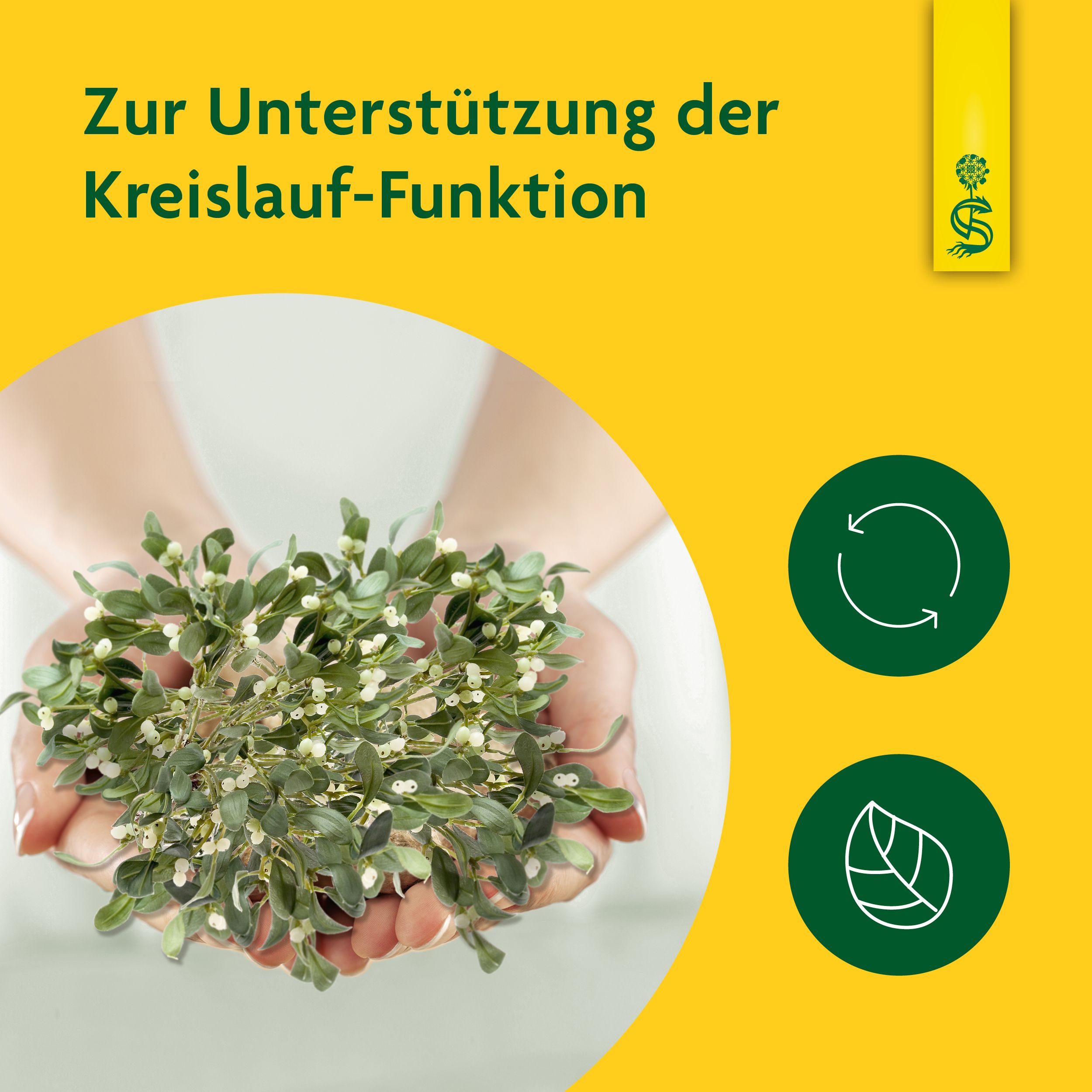 Schoenenberger® naturreiner Heilpflanzensaft Mistel
