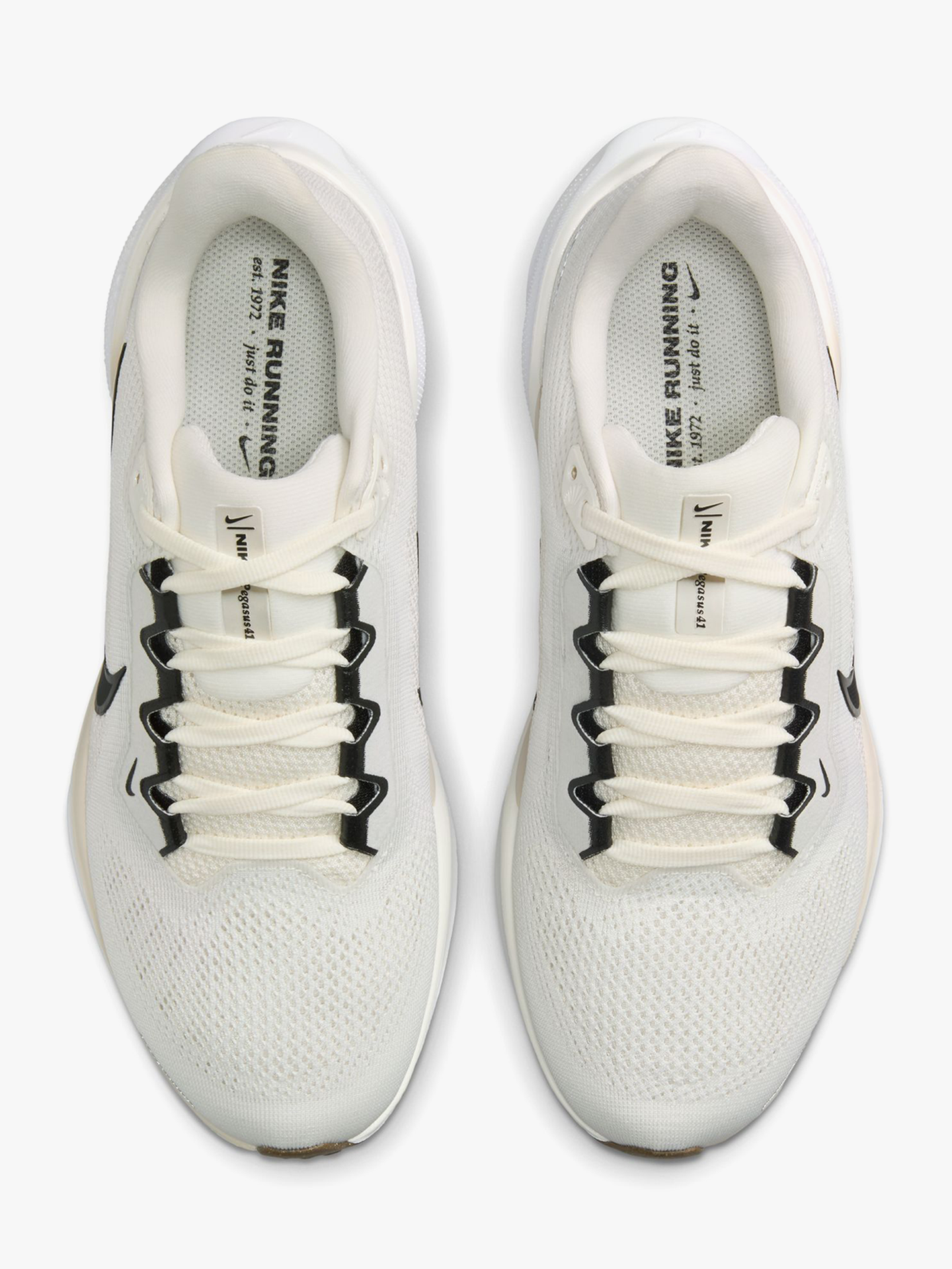 Pegasus 41