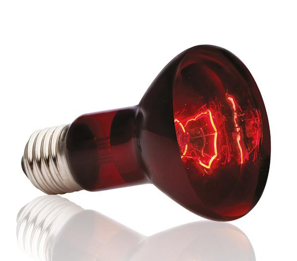 Exo Terra® Infrared Basking Spot