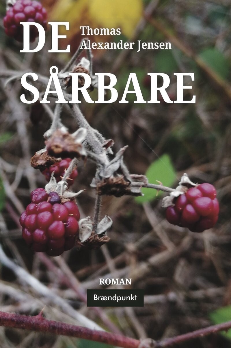 De Sårbare - Thomas Alexander Jensen - Bog