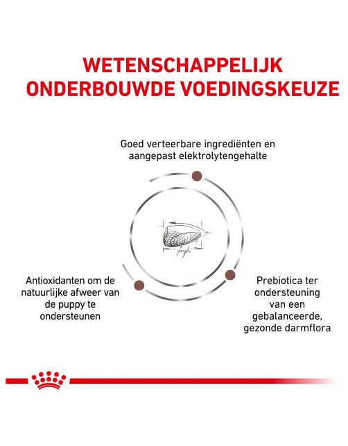 Royal Canin Veterinary Diet Gastro Intestinal Junior - Hondenvoer