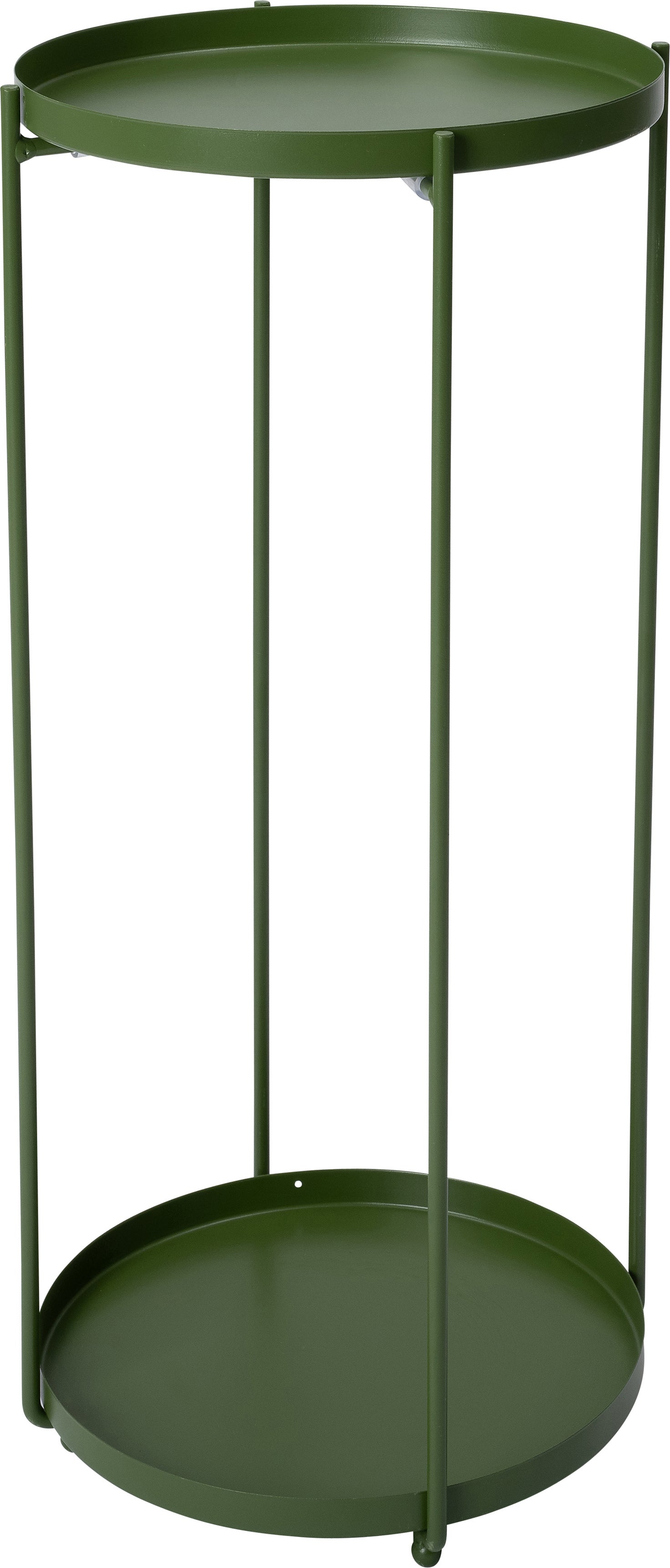 Intratuin plantentafel Salix groen D 27 H 57,5 cm