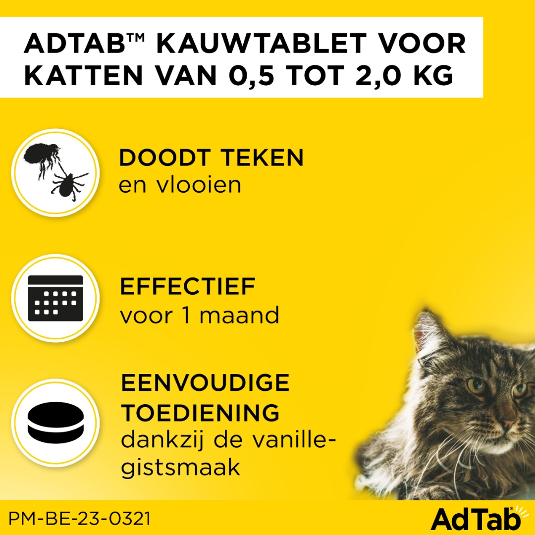 AdTab Kauwtabletten Kat