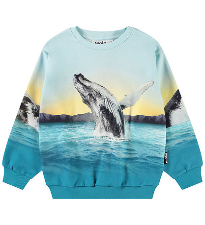 Molo Sweatshirt - Mixi - Whale Jump