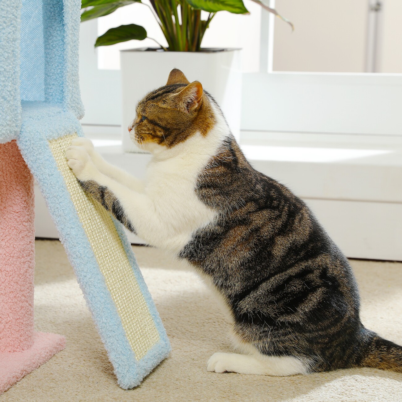 Pawz Road Kratzbaum Blume Sisal