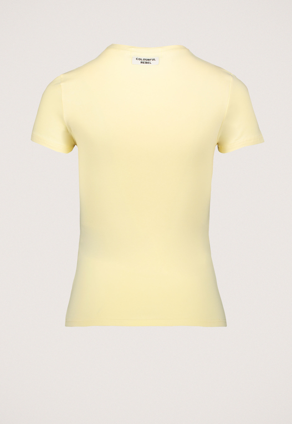 Colourful Rebel Fitted T-shirt