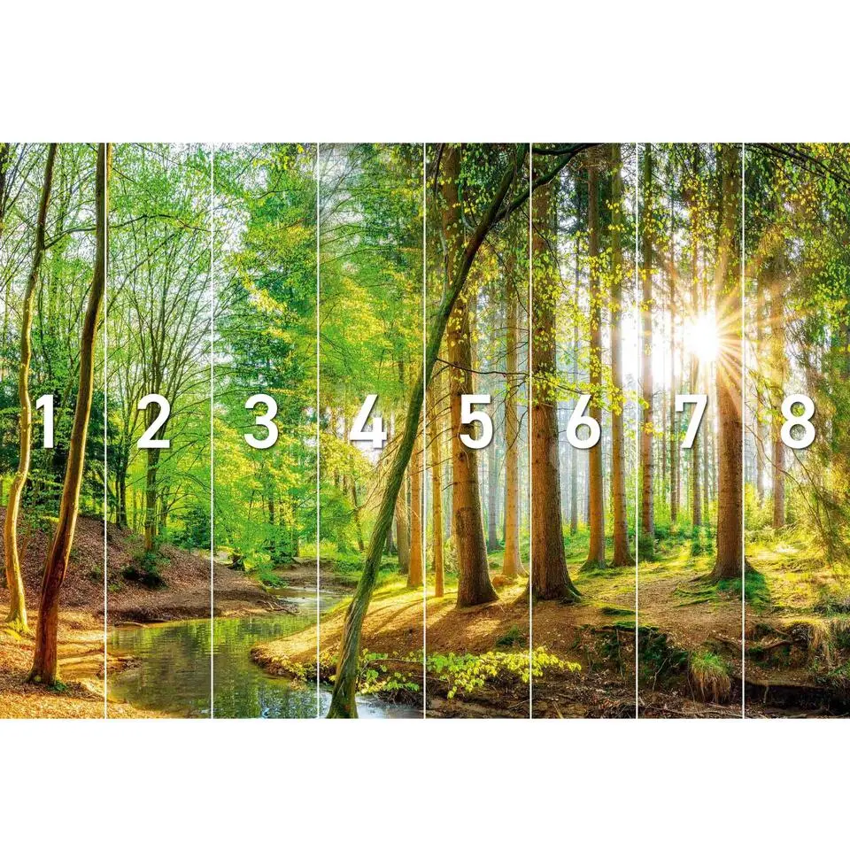 Fotobehang Bos in de zon - 260x384cm - Groen
