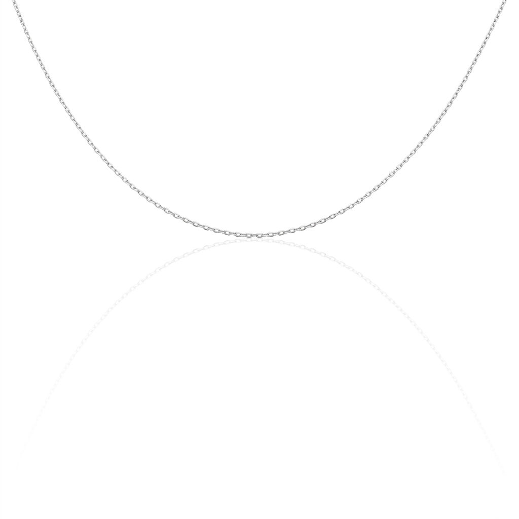 Chaîne Igoa Maille Forçat Diamantee Or Blanc
