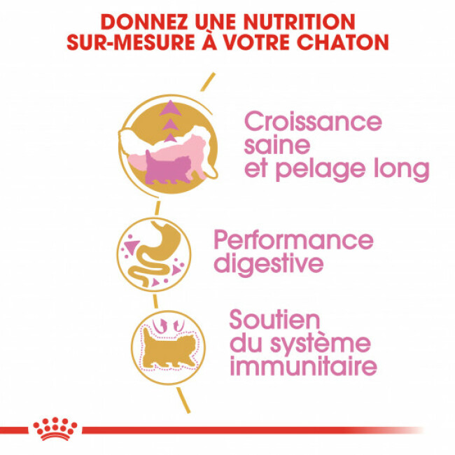 Croquettes pour chaton Royal Canin Persian Kitten