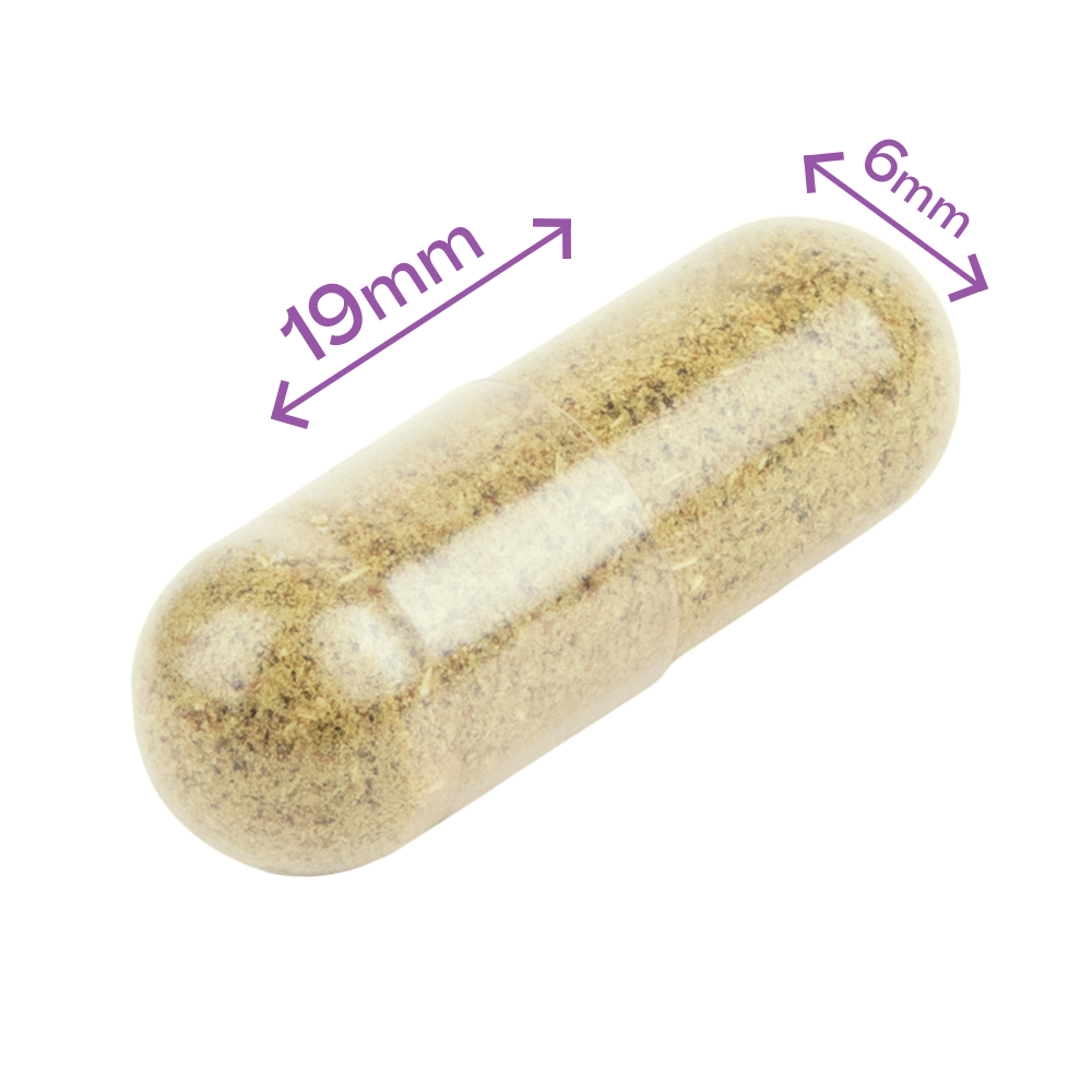 Dr. Ann's Anal Gland Support