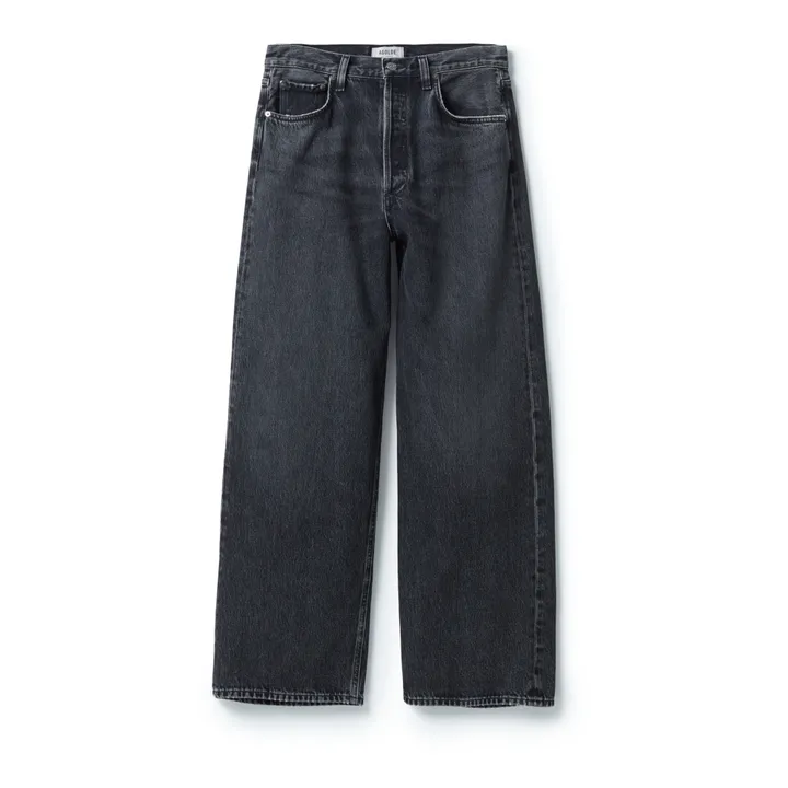 Agolde Jean Low Rise Baggy Coton Bio | Paradox