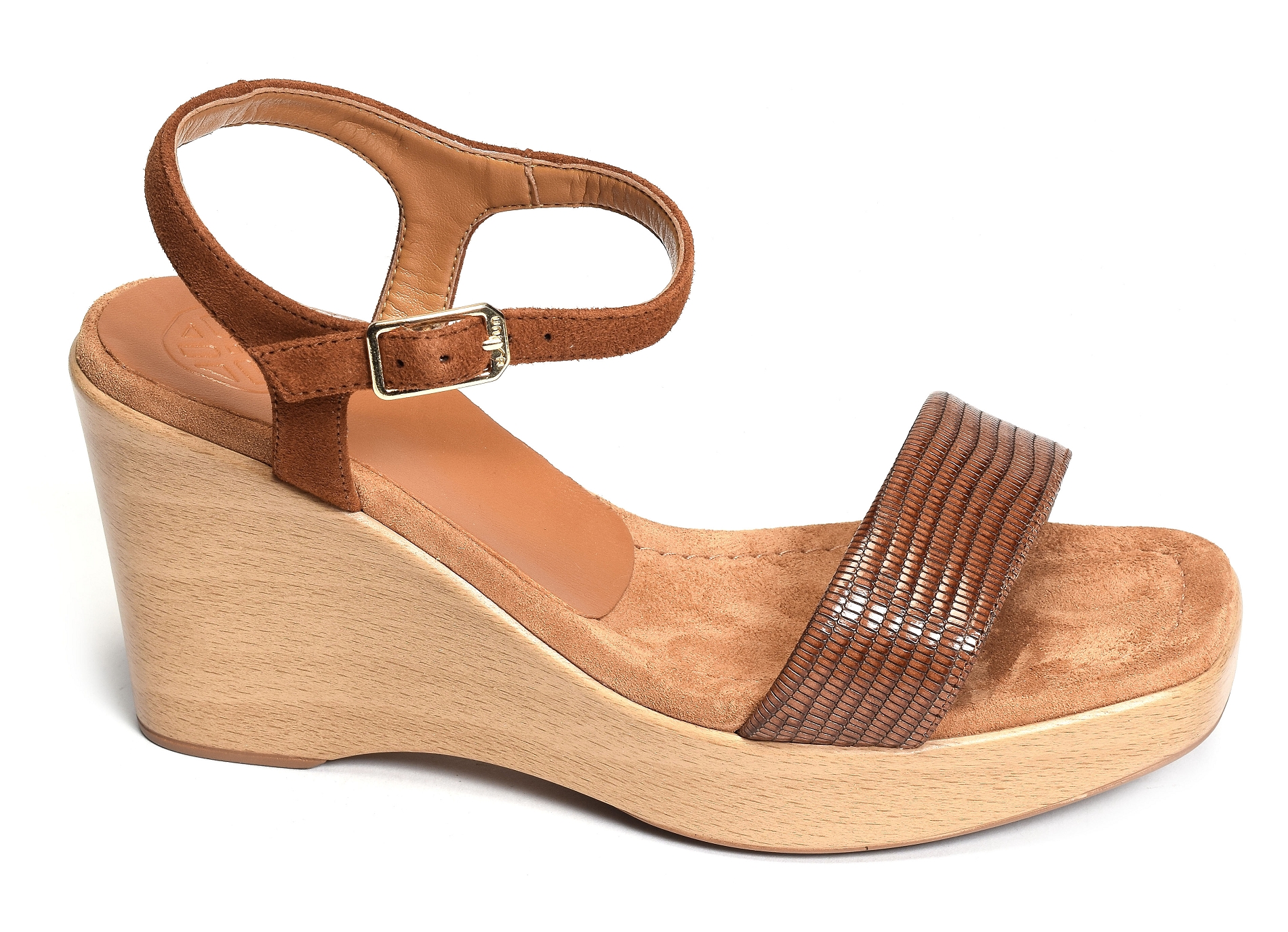 Rita new camel