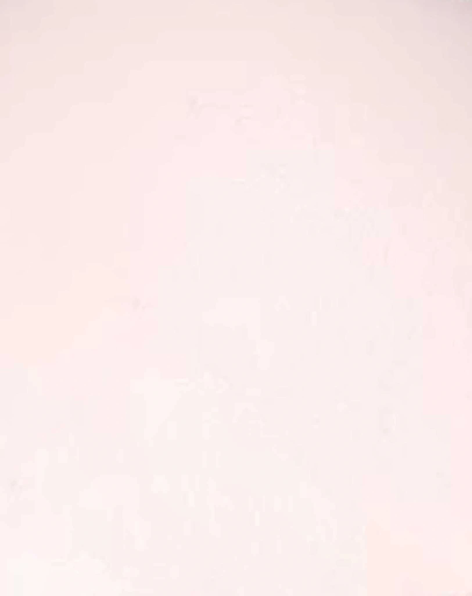 Ballerinas LINDO in rosa