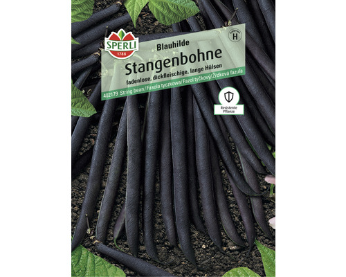 Stokbonen 'Blauhilde' Sperli groentezaden