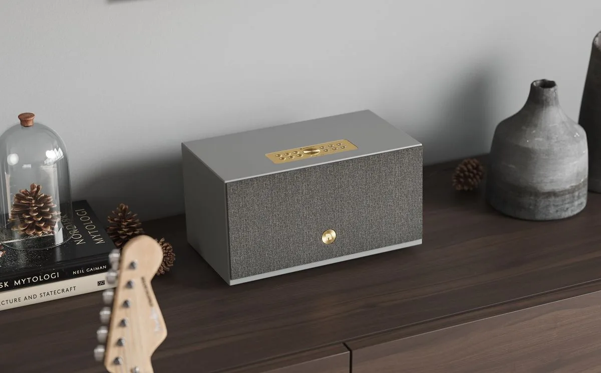 Audio Pro Addon C10 MKII Gris Enceintes multiroom