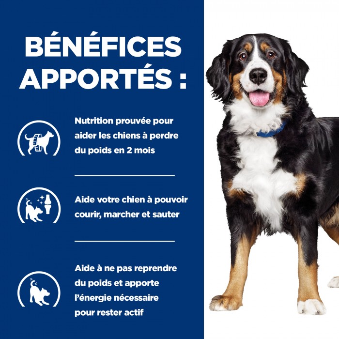 HILL'S Prescription Diet j/d Metabolic+Mobility en Boîtes au Poulet – Pâtée pour chien