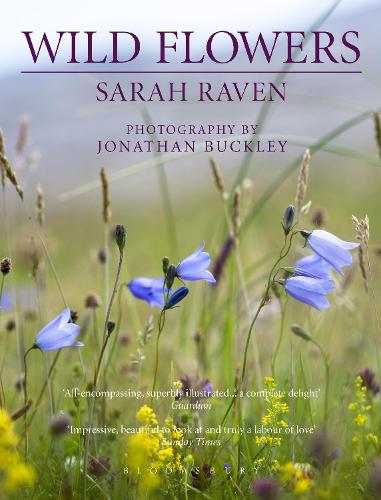 Sarah Raven's Wild Flowers (Paperback)