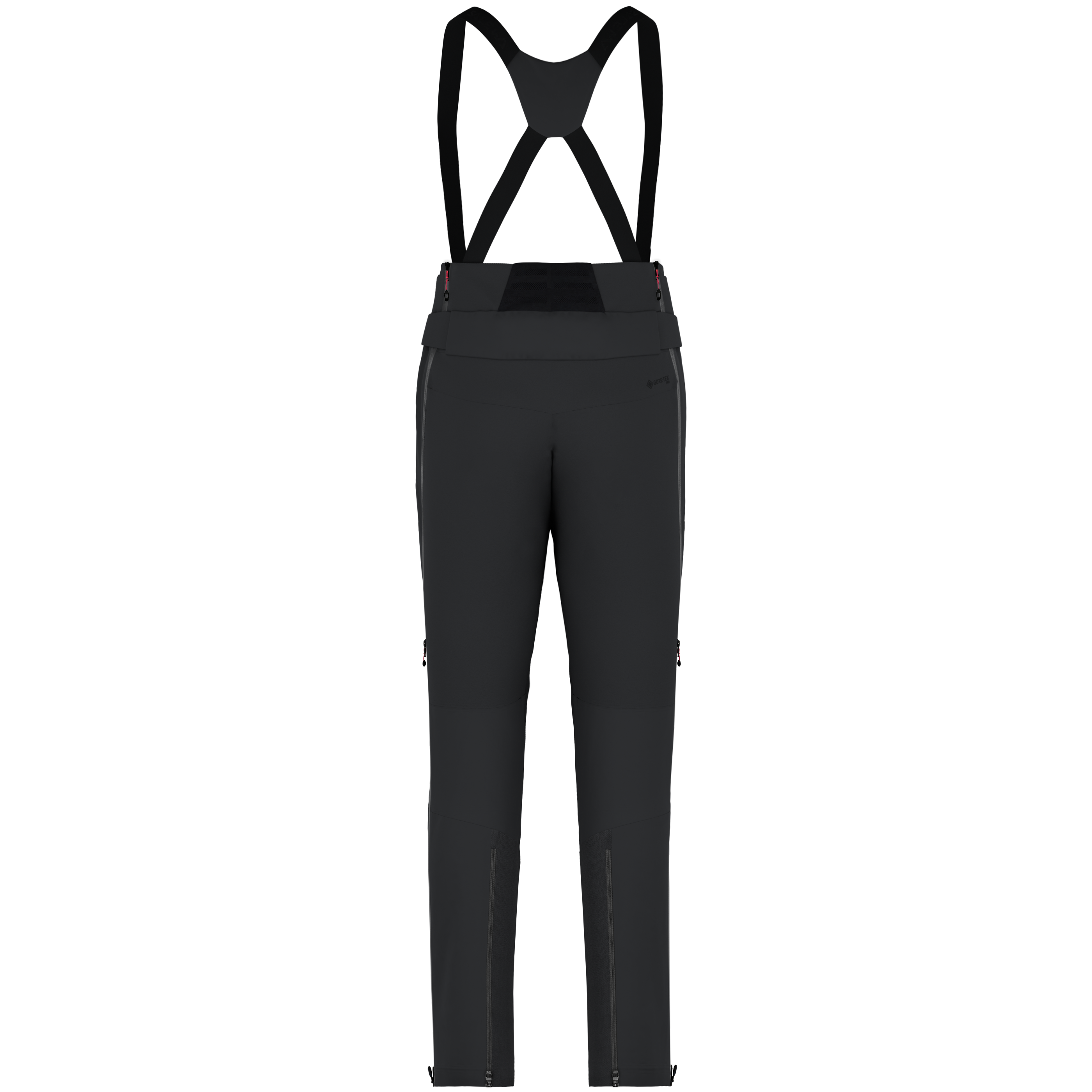 Ortles Gore-Tex® Pro Hose Herren