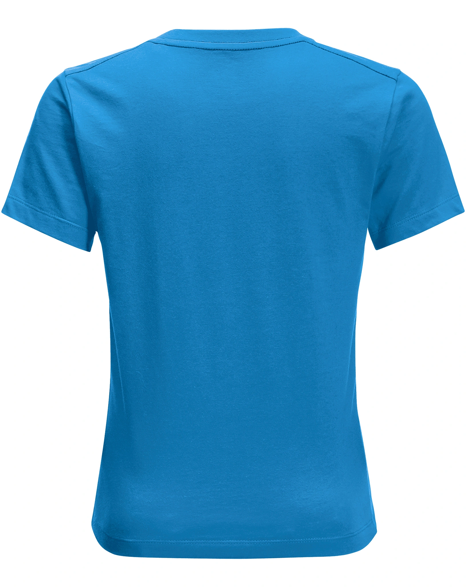 T-Shirt BRAND WOLF in sky blue