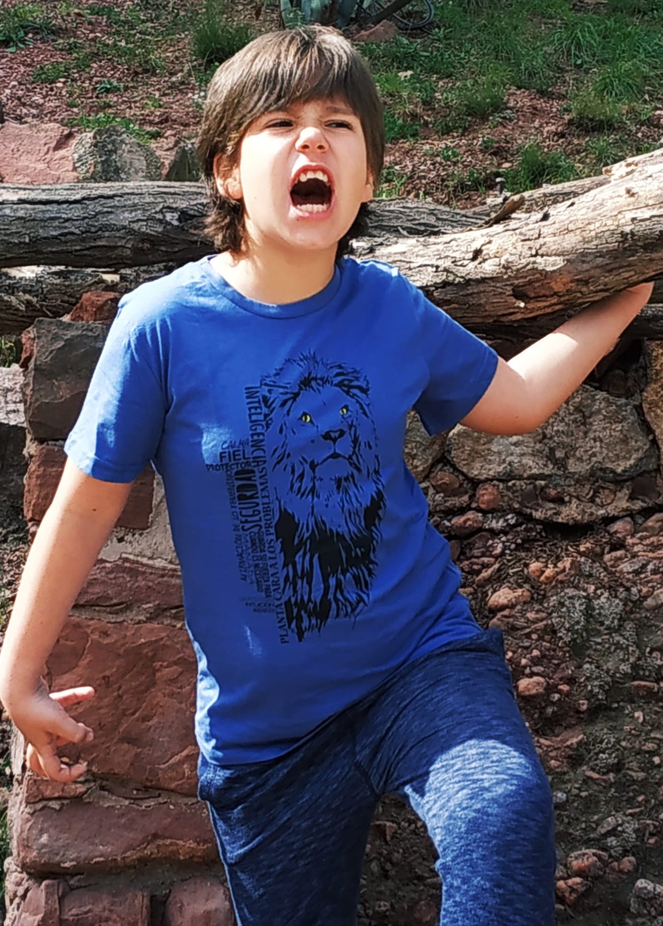 Camiseta Lion para meninos/meninas, verde