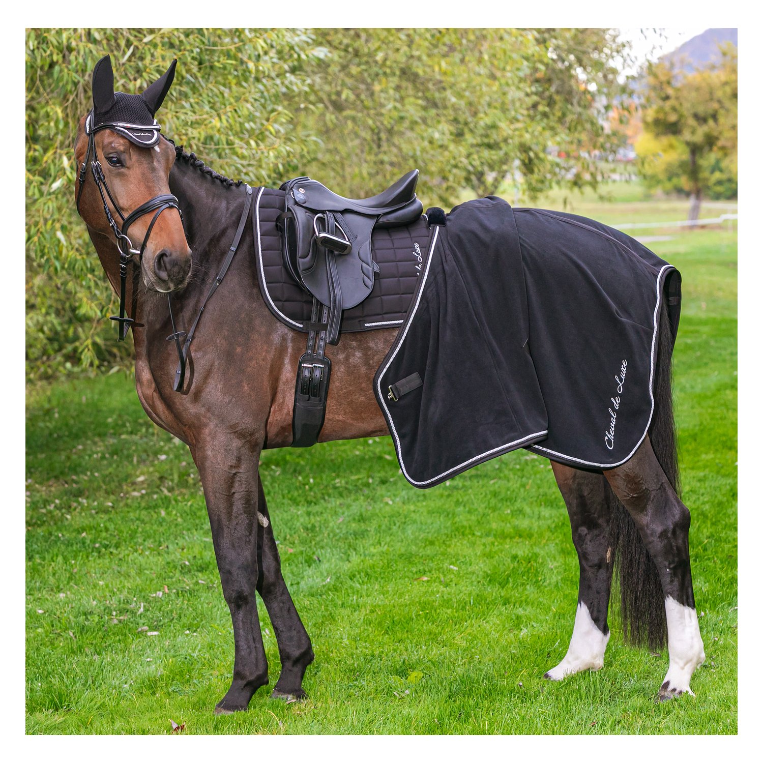 Cheval de Luxe Schabracke  - black/silver