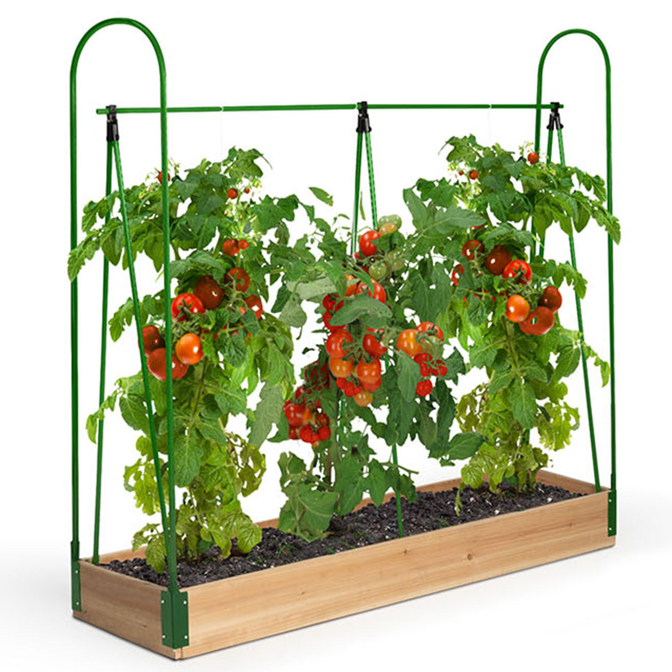 Pratik Garden Serre potager tomates bois/vert - 120x30x120 cm