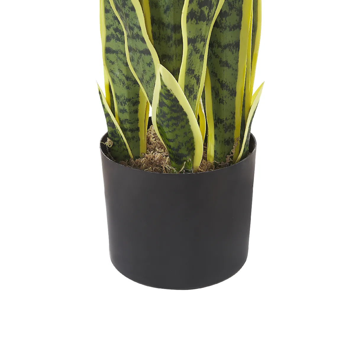 BELIANI SNAKE PLANT 63 cm Vert