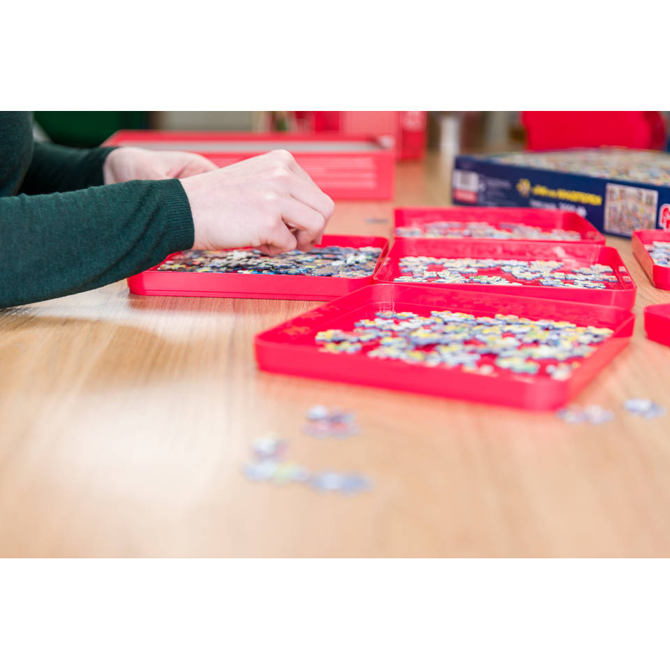 Puzzel sorteerbakjes