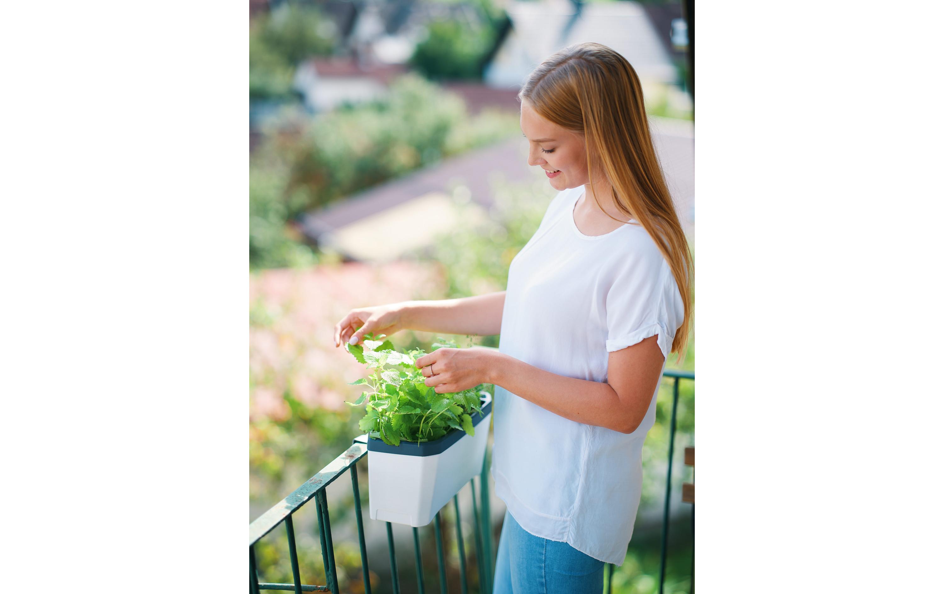 Kräutertopf HARRY HERBS mit Haube, WeissPflanzentopf