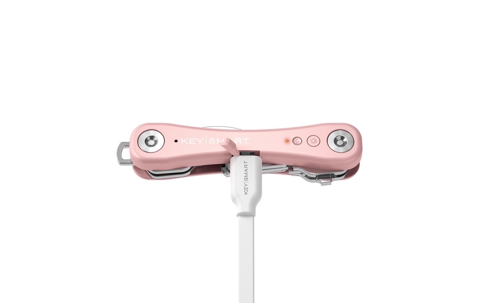 iPro, RosaSmart Key Organizer, der mit der Apple Find My App funktioniert