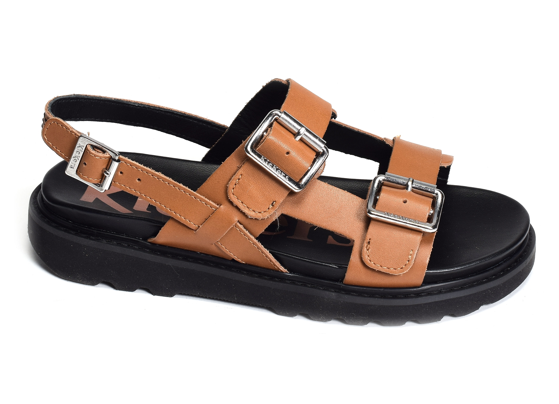Neosummer camel