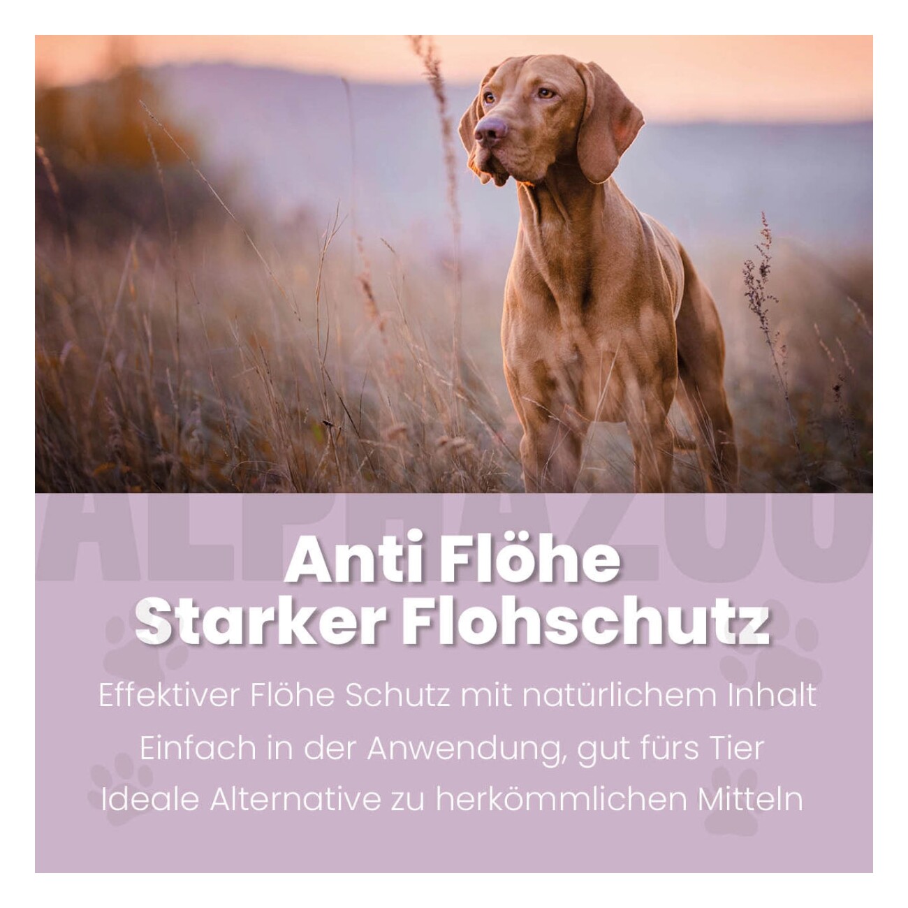 ALPHAZOO ByeByeVloh Flohmittel für Hunde I Starkes Anti Floh Spot-on