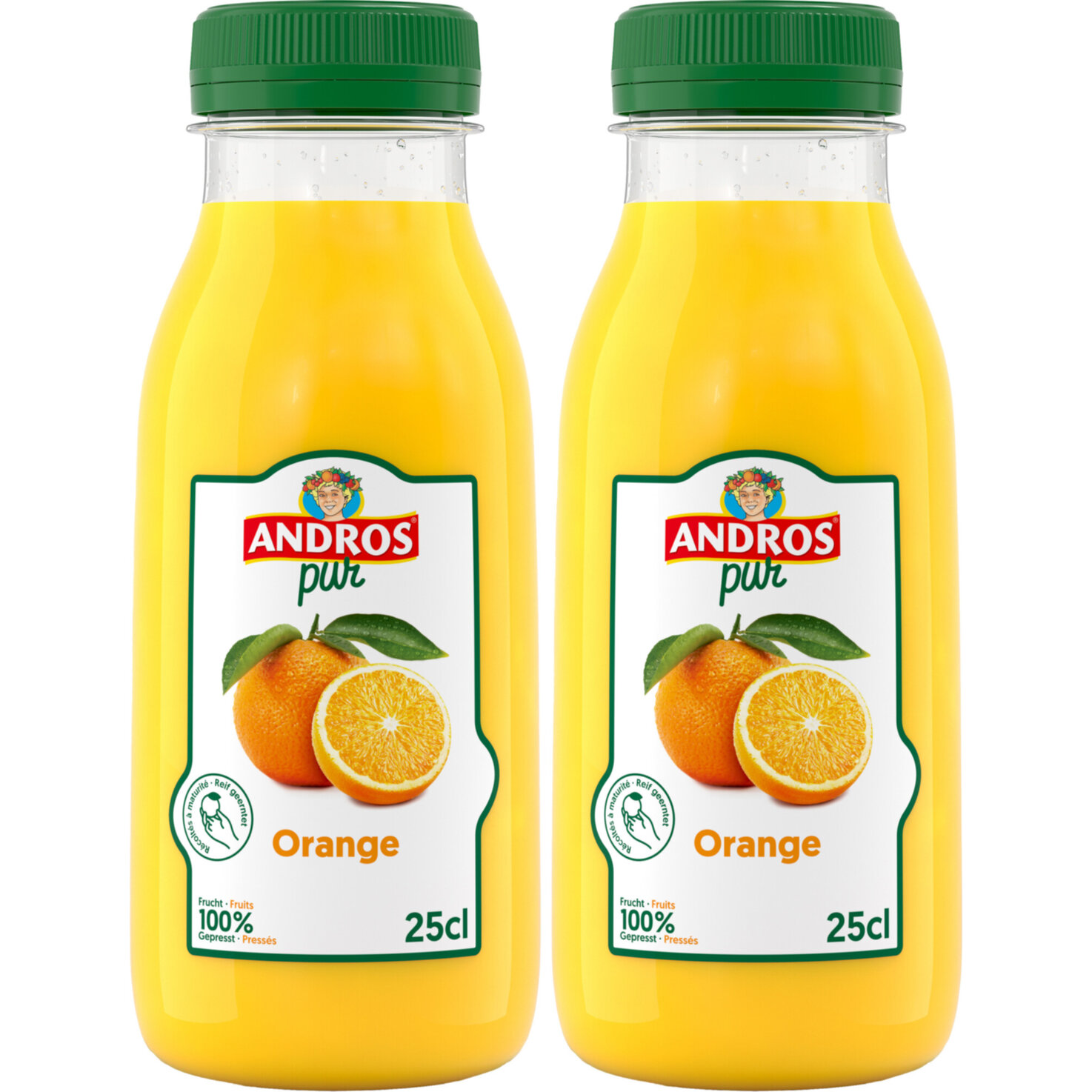 Andros Orangensaft 2x 250ml