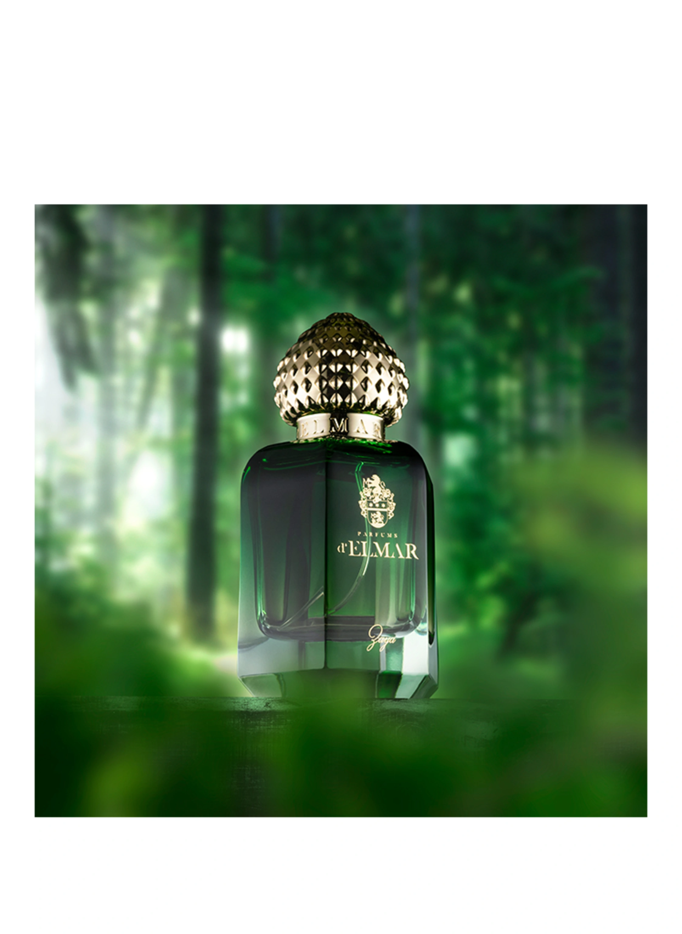 PARFUMS D'ELMAR ZAYA