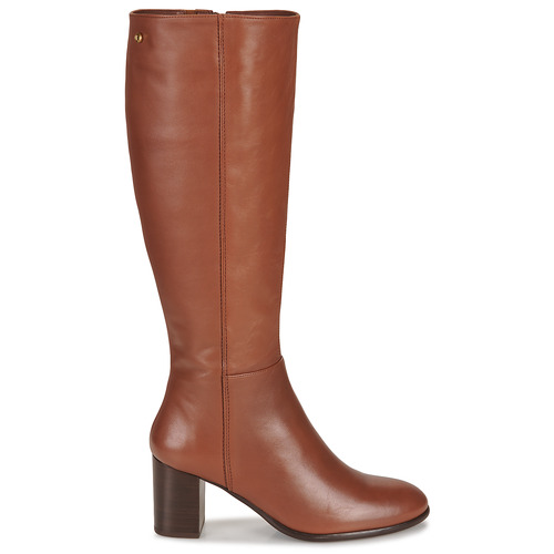 Fericelli - NORAYA Camel