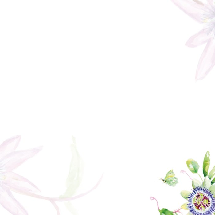 Michelle Dujardin | Verjaardagskaart | Passiebloem