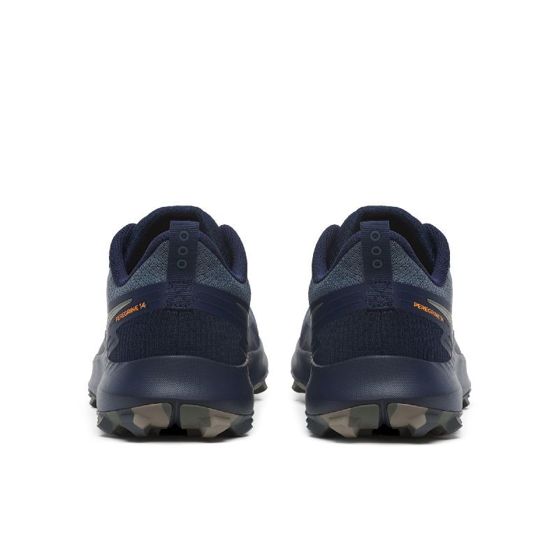 Peregrine 14 - Chaussures trail homme