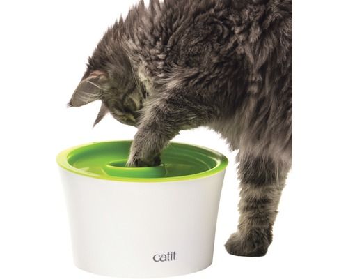 Cat it Senses 2.0 Multi Feeder met pootopening