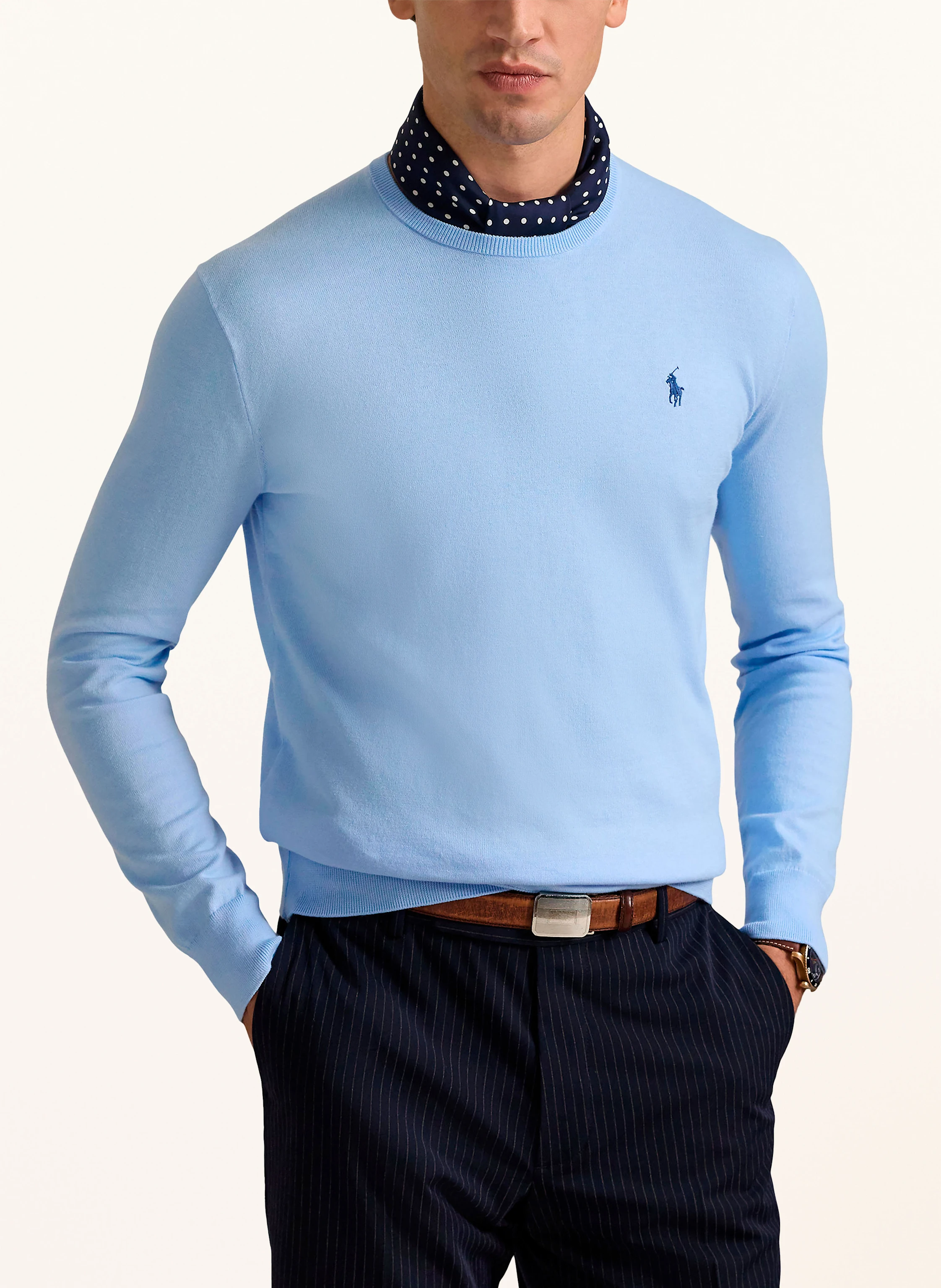 POLO RALPH LAUREN Pullover