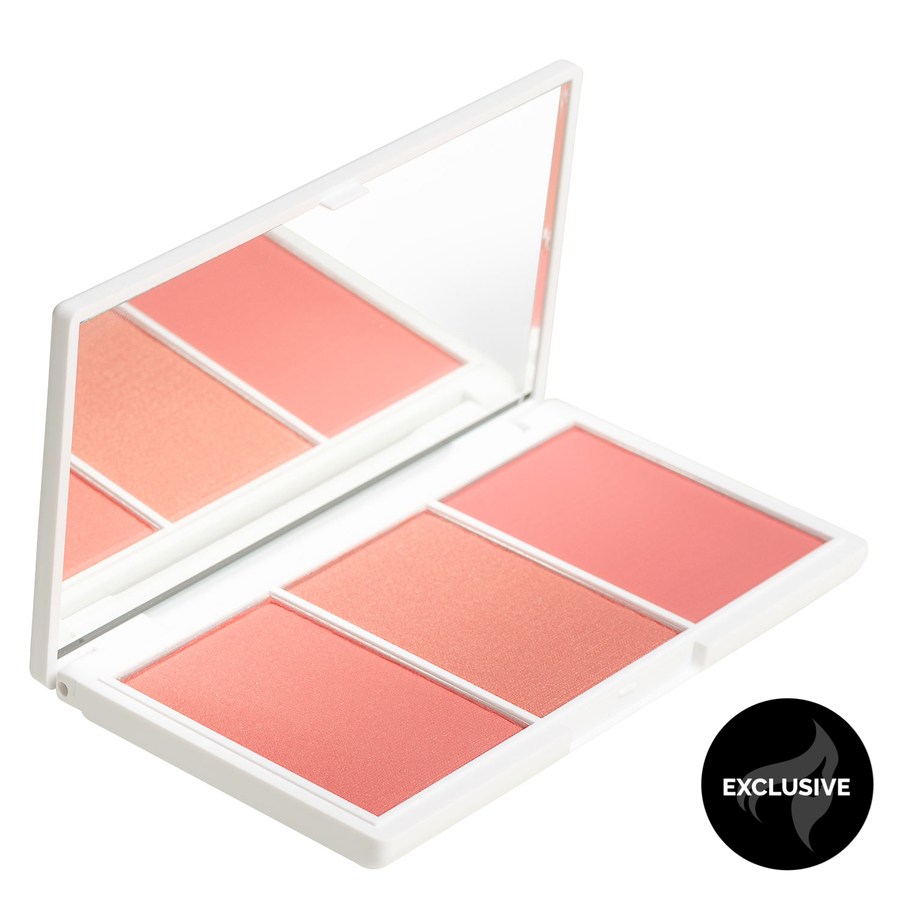 Urban Glow Blush Rush Blush Palette #01 18g