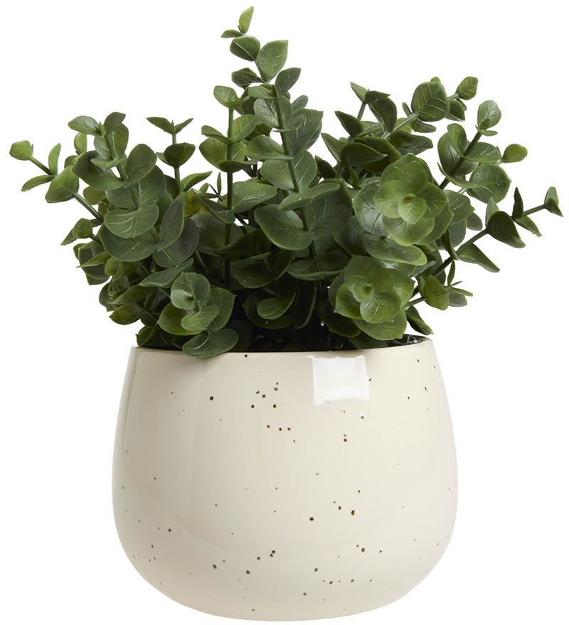 Lovely grønn plante i potte 20 cm