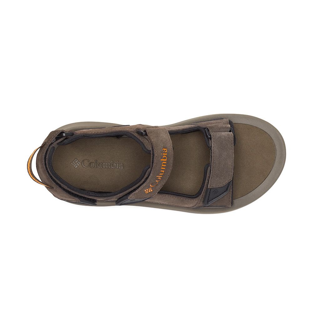 Columbia TRAILSTORM HIKER 3 - Sandales Homme cordovan/gold amber