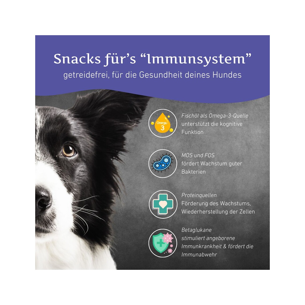 Wildfang Immunsystem Snacks - getreidefrei - 3 x 70 g